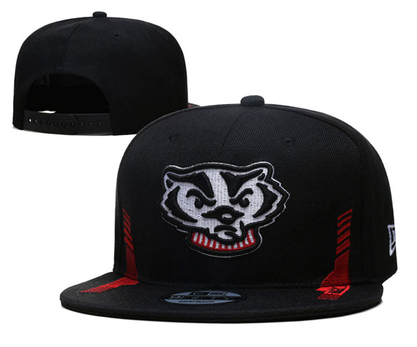 Wisconsin Badgers Stitched Snapback Hats 002